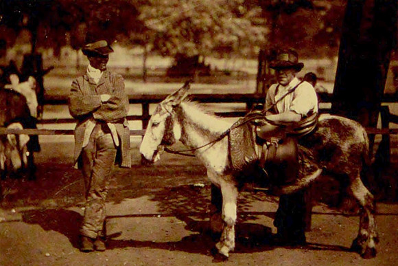 The Donkey Boy Waiting For A Hire On Clapham Common 1877