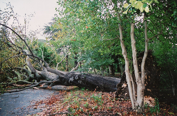 The Damage After The Storm Of 1987