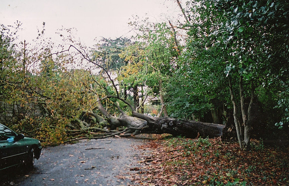 The Damage After The Storm Of 1987