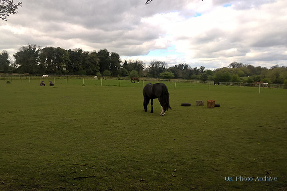 Fields On Fairlawn Farm Carshalton 18th April 2017