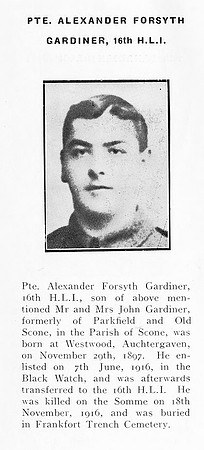 Gardiner A F Pte 33427 16th Highland Light Infantry