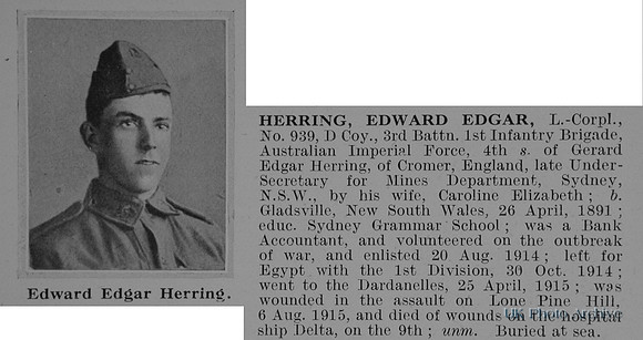 Herring E E L/Cpl 939 3rd Australian Imperial Force Obit