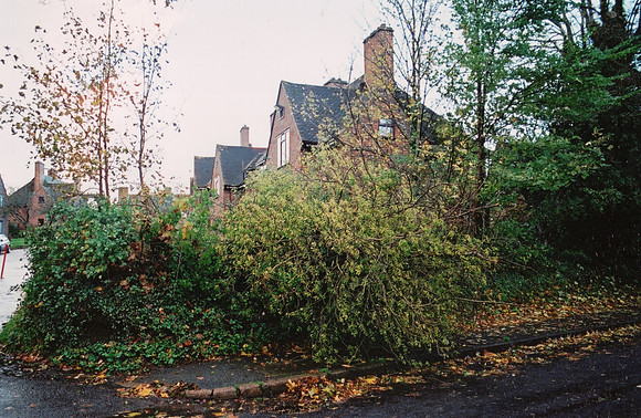 Damage In Park Lane Ashtead