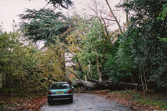 The Damage After The Storm Of 1987