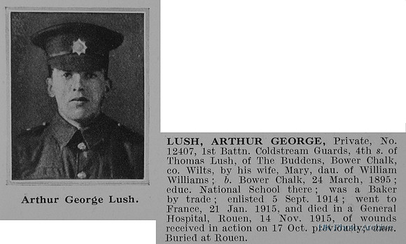 Lush A G Pte 12407 1st Coldstream Guards Obit