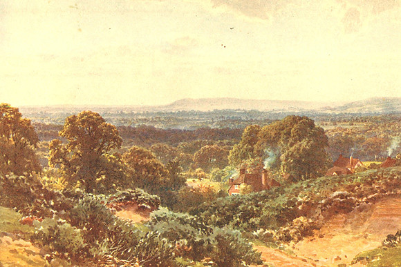 Sandhills Looking Towards Blackdown Surrey 1906