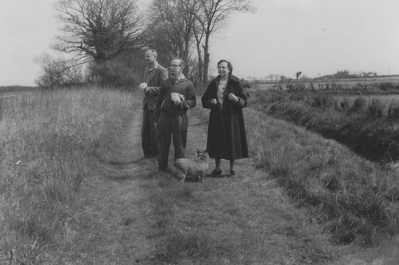 UK Photo Archive: Primrosing In Canwick Lincolnshire Spring 1960 &emdash; Primrosing (Picking Primroses) Canwick Lincolnshire Spring 1960